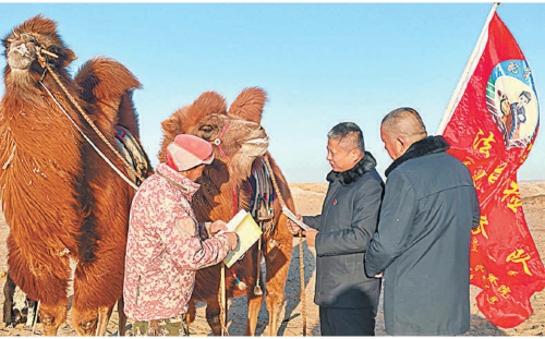 ���������ͷ���